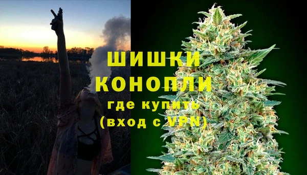 PSILOCYBIN Иноземцево