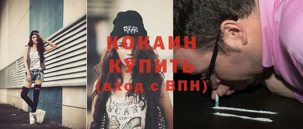крисы Александровское