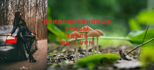 крисы Александровское