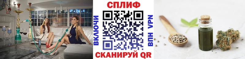 Шишки марихуана Amnesia  наркотики  Алушта 